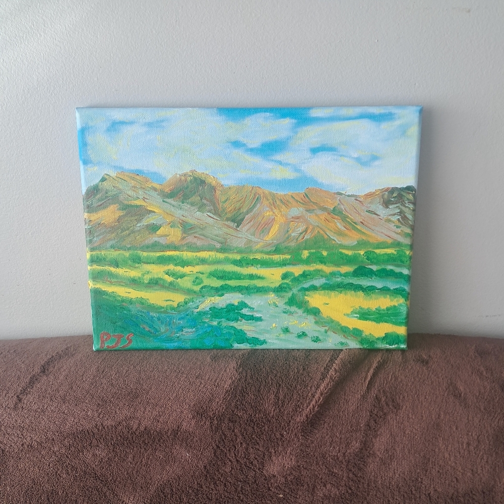 Hand Painted Canvas Oil Paint Landscape Mountains